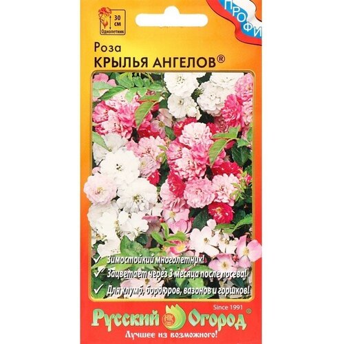 Семена цветов Роза Крылья Ангелов, 10 семян / по 2 уп
