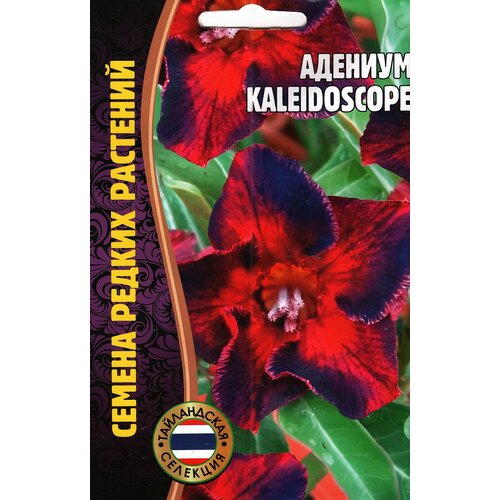 Адениум KALEIDOSCOPE, комнатный многолетник ( 1 уп: 3 семени ) адениум siam blueberries 3 семени х 1 упаковка семена редких растений