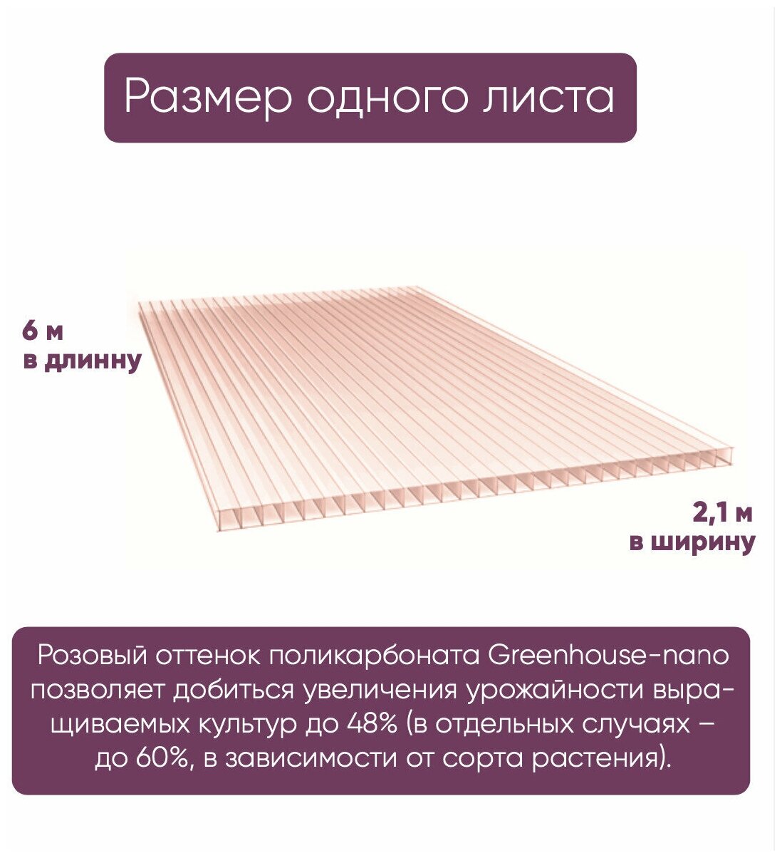 Сотовый поликарбонат GreenHouse - Nano, 6мм, 6 метров, 2 листа