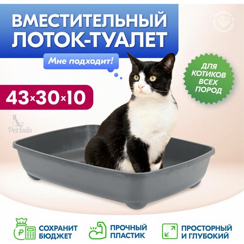 Лоток туалет для кошек глубокий 