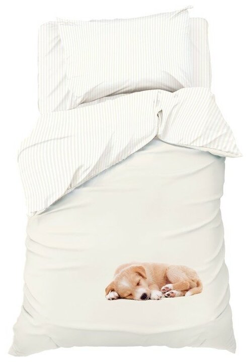 Этель Постельное бельё «Этель» Cute dog, 1.5 сп, 143х215 см, 150х214 см, 50х70 см. - 1 шт, 100% хл, бязь