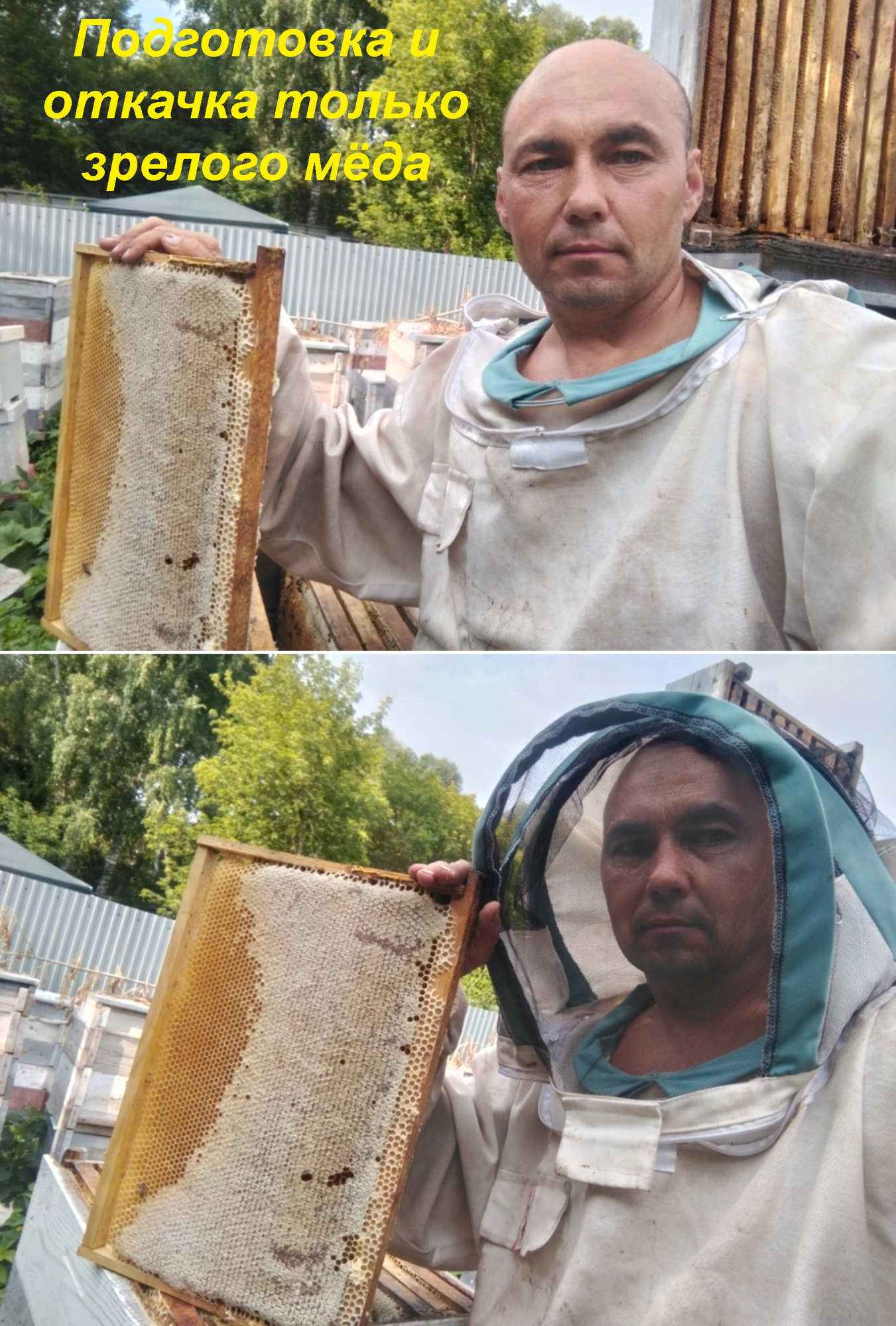 Мёд цветочный, пасека Идрисовых - фотография № 8