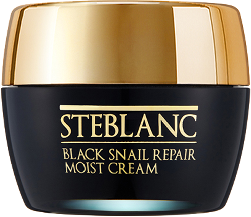 STEBLANC Крем увлажняющий с муцином черной улитки для лица / Black snail Repair Moist Cream 55 мл