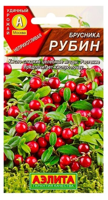 Семена Брусника Рубин Ц/П