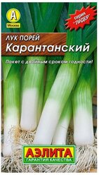 АЭ Лук порей Карантанский 1 г