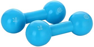 Набор гантелей цельнолитых Lite Weights 3967EG 2x1 кг