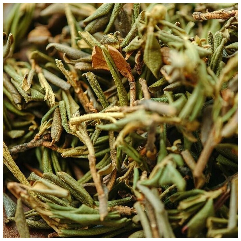 Чай Саган-Дайля
