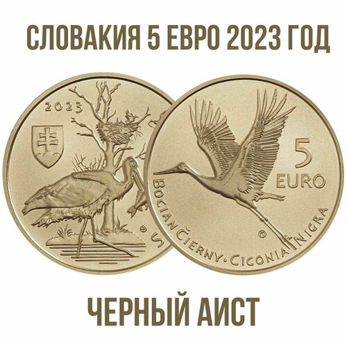 Словакия 5 евро 2023 Чёрный аист год UNC словакия 5 евро 2023 бурый медведь