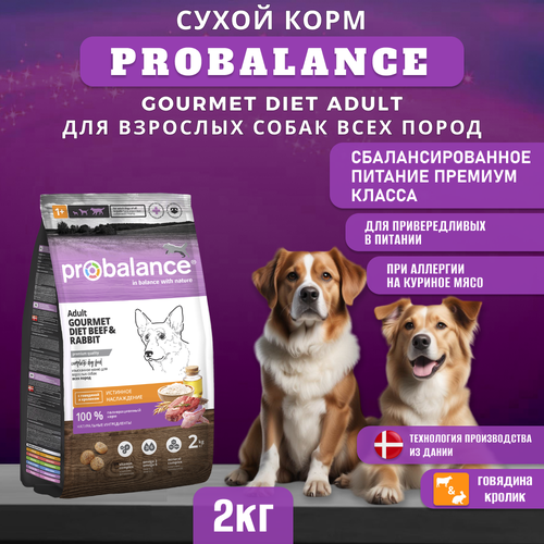 Сухой корм ProBalance Gourmet diet Adult для взрослых собак с говядиной и кроликом, 2кг