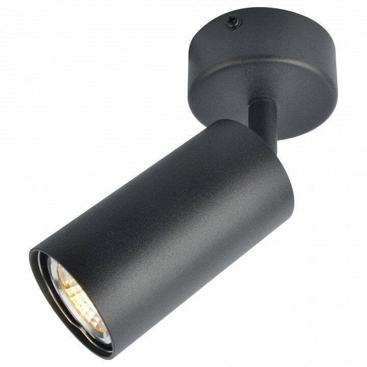 Спот Arte Lamp 3216 A3216PL-1BK Цвет арматуры черный Цвет плафонов черный