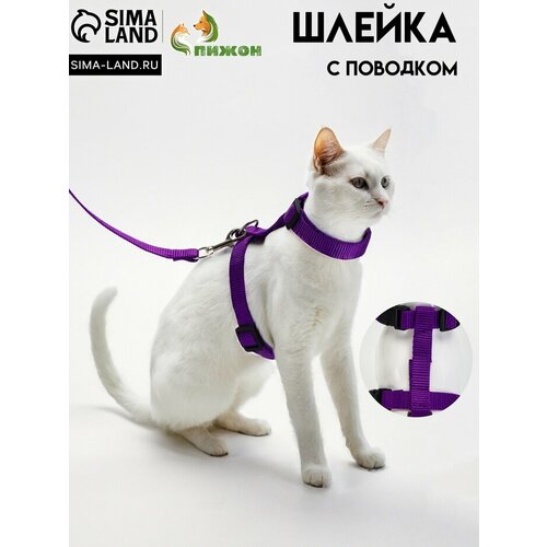 Комплект для кошек, ширина 1,5 см, ОШ 16,5-27 см, ОГ 21-35 см, поводок 120 см, фиолетовый