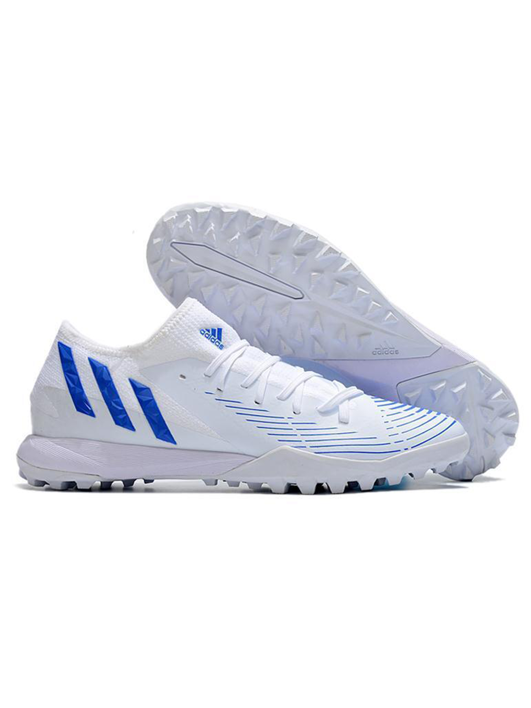 Сороконожки