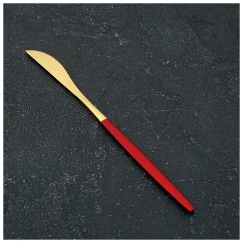 Нож столовый Magistro Блинк, 22 см, цвет золото, красная ручка, на подвесе