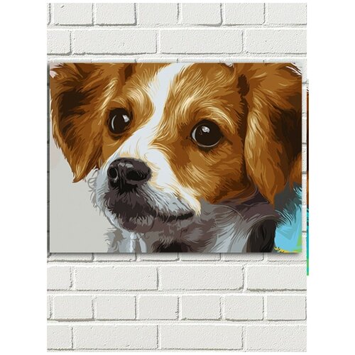 картина по номерам на холсте животные собака долматинец пёс красочная картина 12632 г 30x40 Картина по номерам на холсте Лучший друг человека (собака, пёс, красочная картина) - 9092 Г 30x40