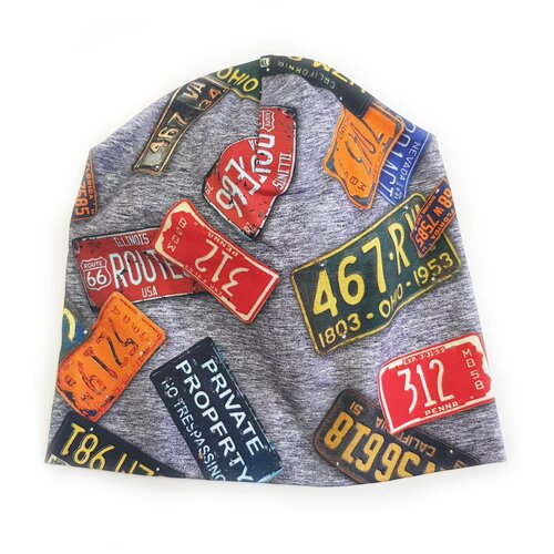 фото Шапка для мальчиков и девочек fame kerry k19978_2021 в (047) размер 56