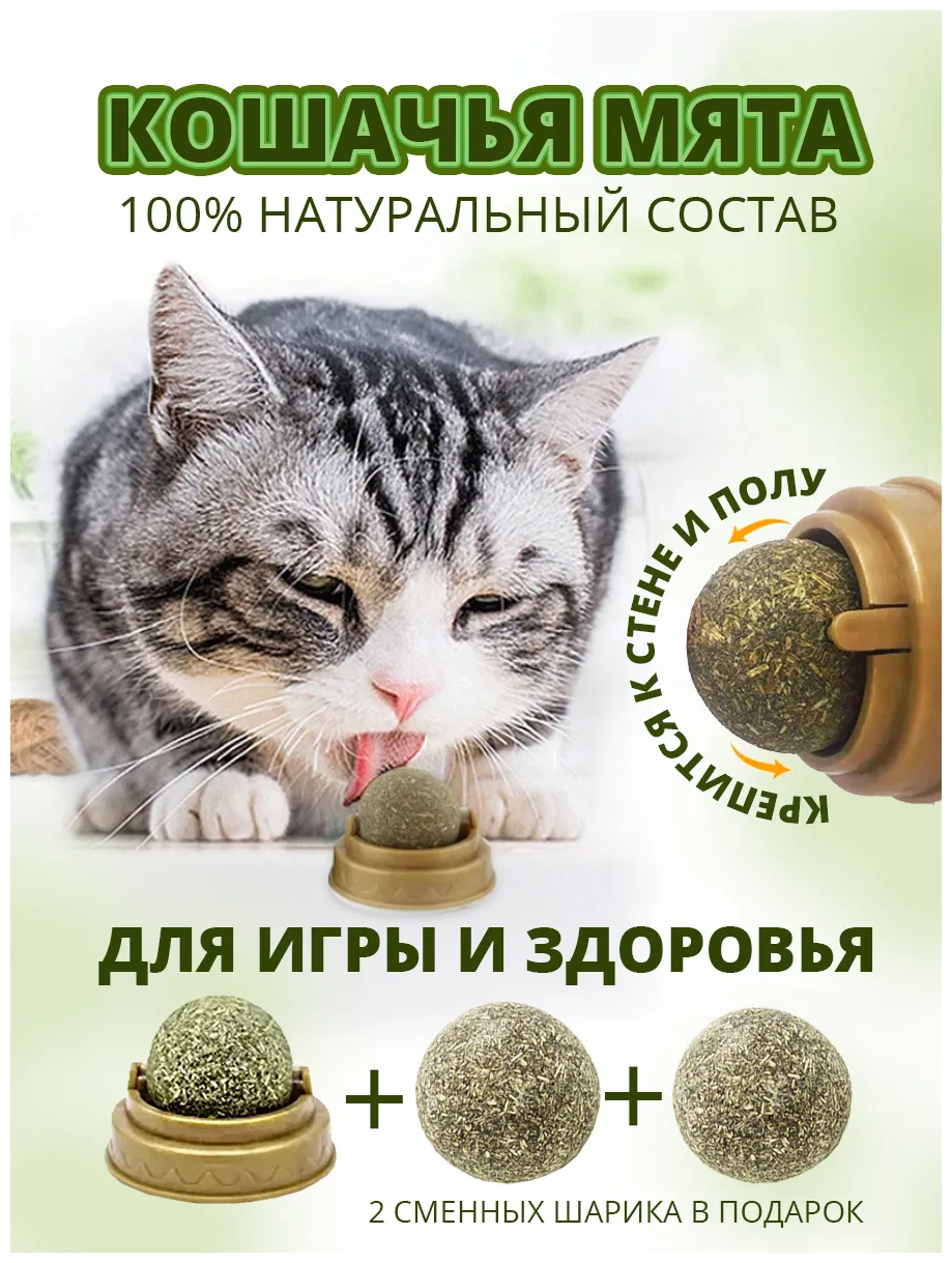 Лакомства для кошек, кошачья мята, конфета для кошки, леденец для кота, игрушки для кошек. Набор для кошек - фотография № 1