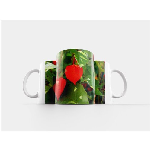 фото Кружка "лампион цветок, декоративное растение, мочевой пузырь вишня" 320 мл lotsprints