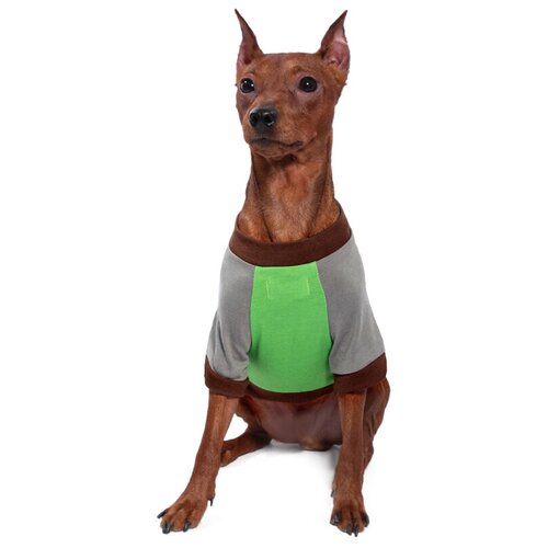 Футболка Triol Marvel Грут для собак (25 см, Зеленый) triol футболка для собак marvel грут для собак xs 20 см