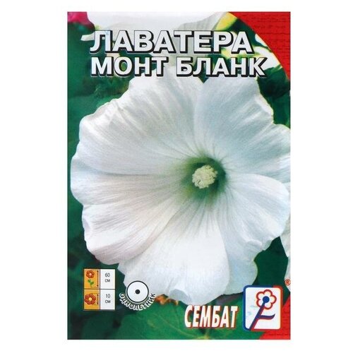 Семена цветов Лаватера белая Монт бланк, 0,2 г семена цветов лаватера монт бланк 4 упаковки 2 подарка
