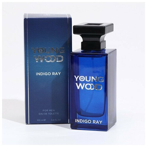 Young Wood Туалетная вода мужская Young Wood Indigo Ray, 100 мл