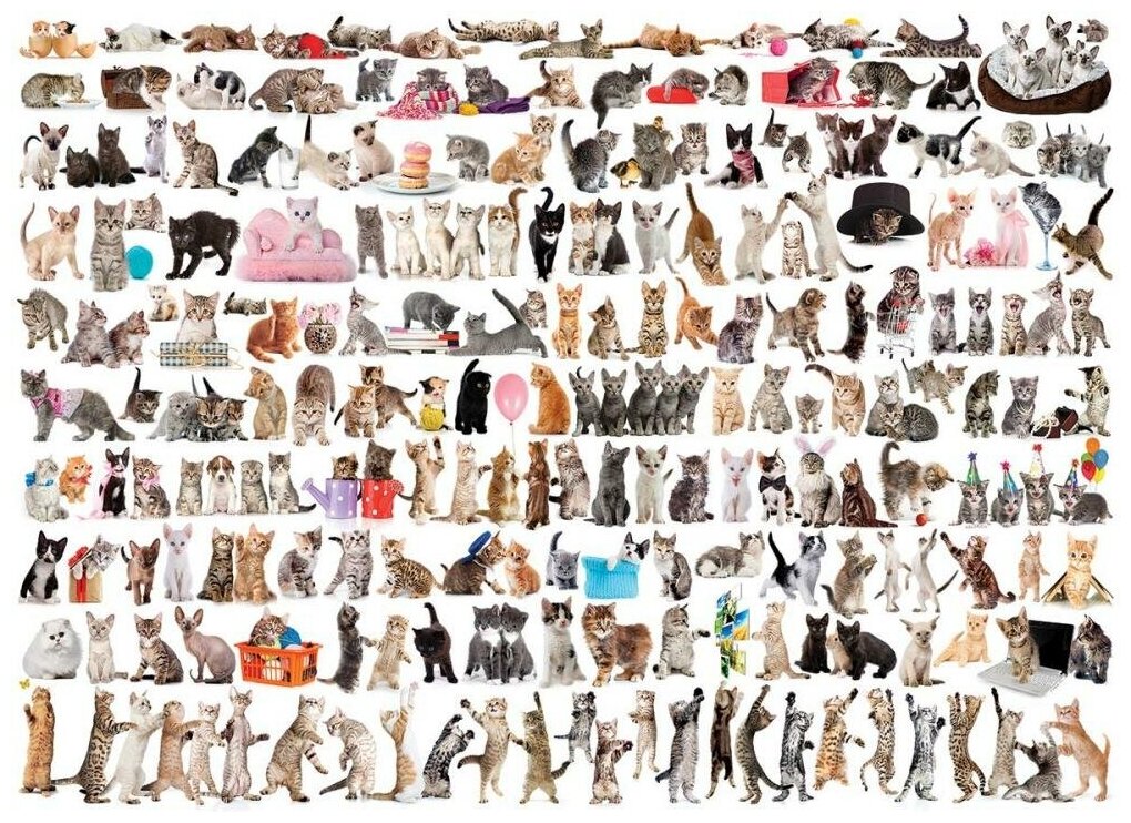 Пазл Eurographics Мир кошек, 1000 элементов (6000-0580) - фото №2