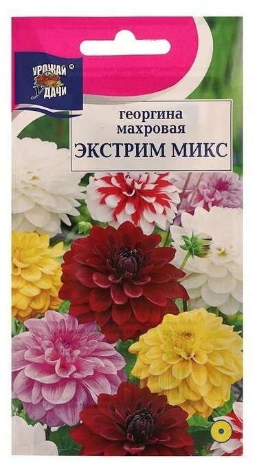 Семена цветов Цв Георгина Смесь "Экстрим", 0,2 гр