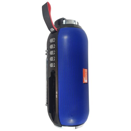 Радиоприемник Fepe FP-30 синий 181000₽