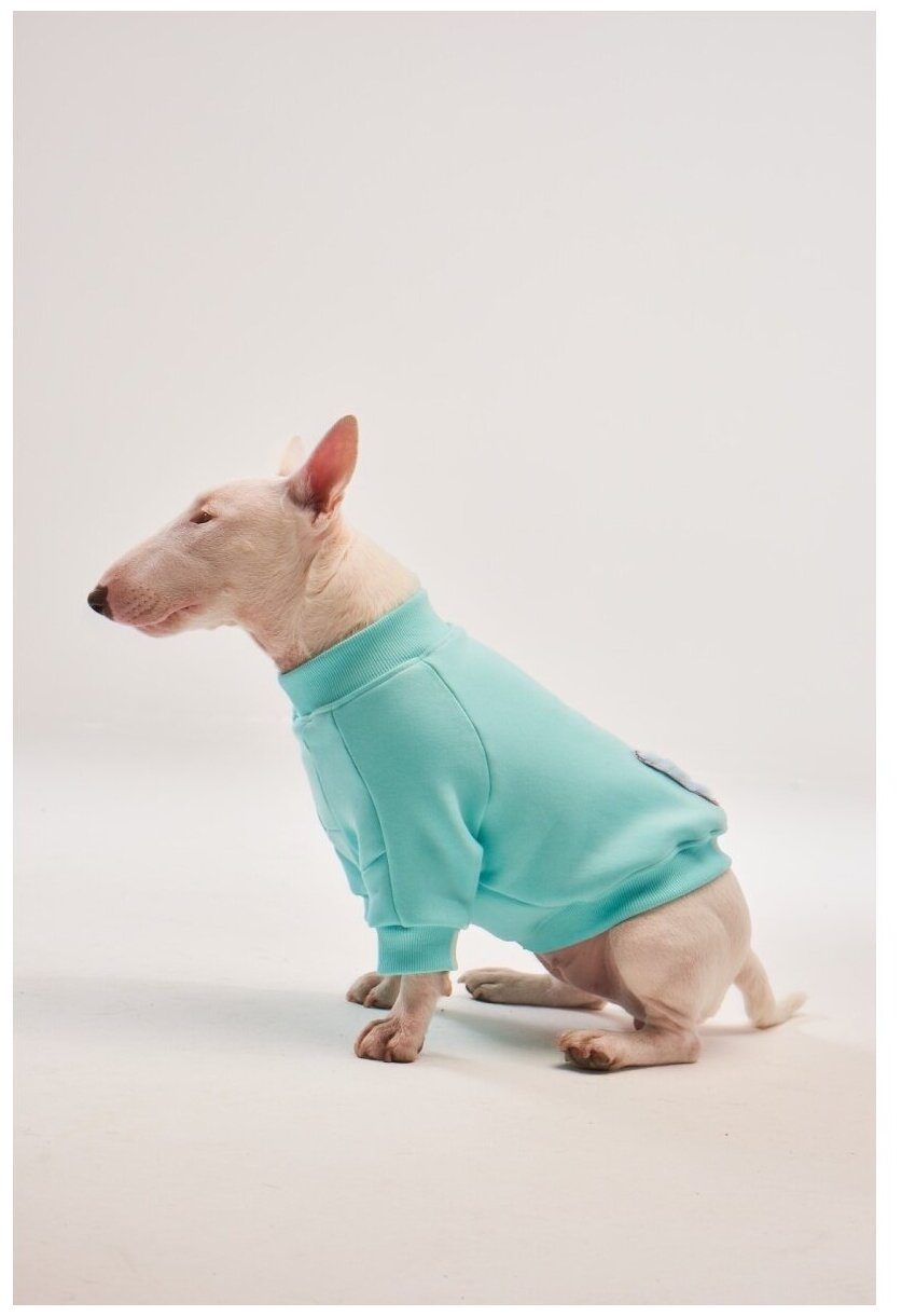 WOOFLER / Свитшот для французского бульдога, бультерьера и амстаффа, толстовка из футера, одежда для собак, цвет бирюзовый, размер S36 - фотография № 1