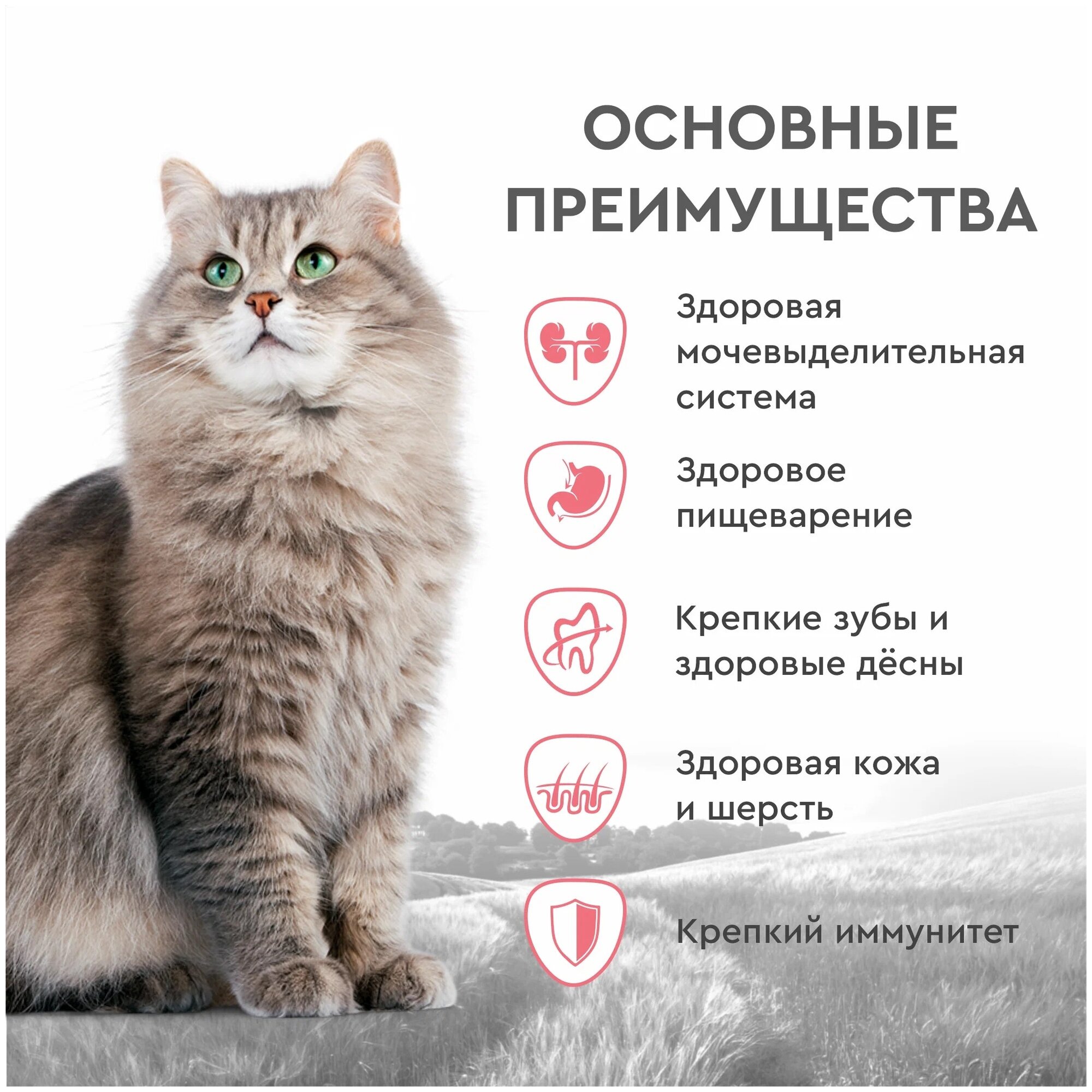 Корм Секрет Премиум для кошек телятина, 2 кг - фотография № 11