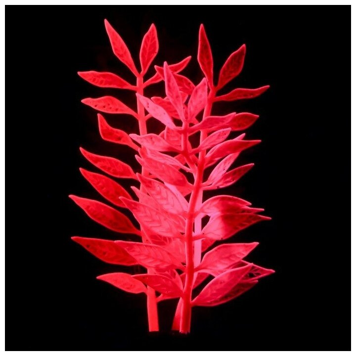 Растение силиконовое аквариумное, светящееся в темноте, 8 х 15 см, розовое 7108775 . - фотография № 3