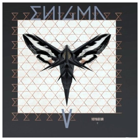 Виниловая пластинка Universal Music ENIGMA - Voyageur (Limited Edition)