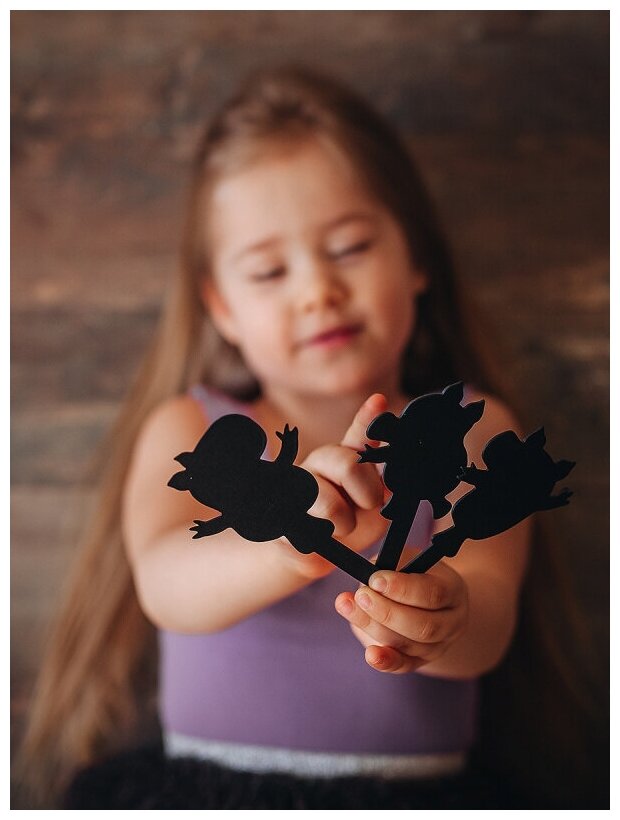 Театр теней Истории Гарри - фото №12