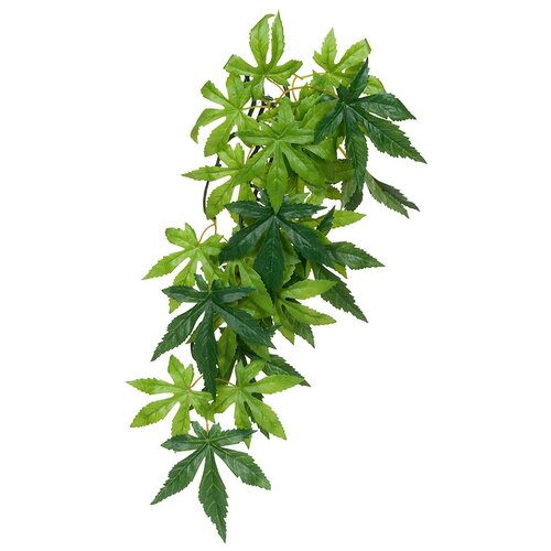 Тропическое растение Exo Terra Jungle Plants Абутилон среднее, 55х20 см