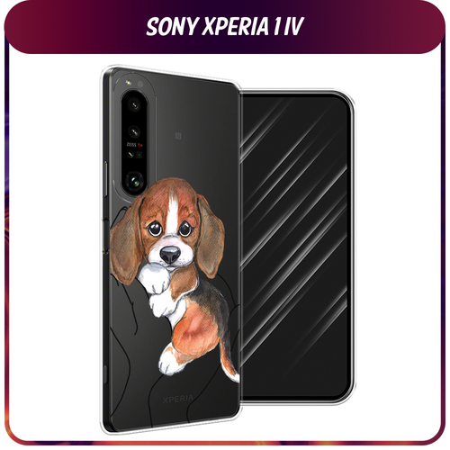 Силиконовый чехол на Sony Xperia 1 IV / Сони Иксперия IV Бигль в ладошках, прозрачный силиконовый чехол на sony xperia 1 iv сони иксперия 1 iv бутерброд из котиков