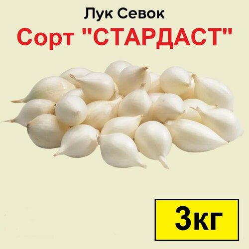 Лук севок Стардаст 3 кг. Урожай 2023