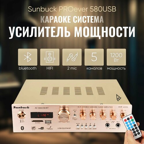 5-ти канальный HI-FI усилитель звука Sunbuck PROever 580USB 1200 Вт