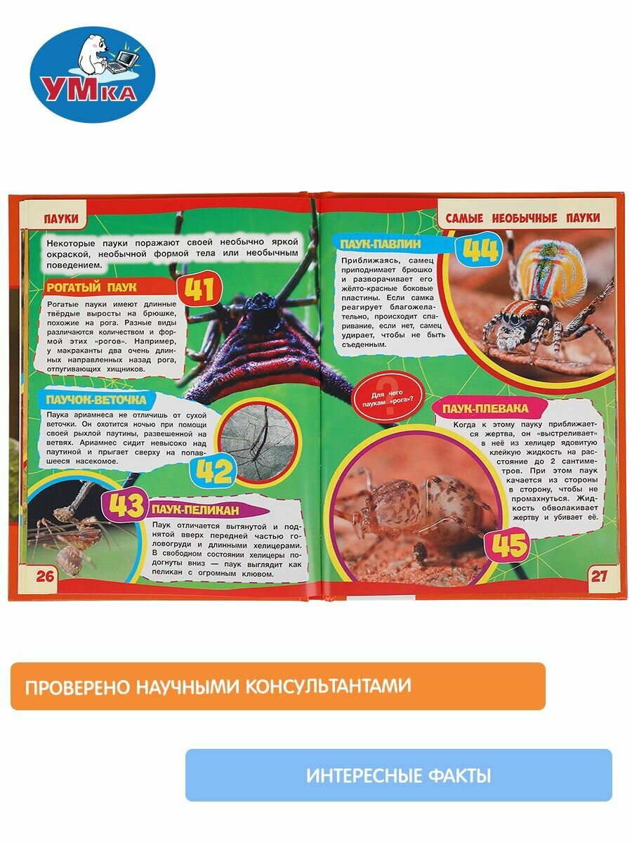Пауки. 100 фактов. Энциклопедия А5.с развивающими заданиями. 48стр. Умка в кор.22шт - фото №12