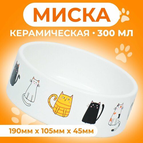 Миска керамическая "Котяры" 300 мл 12,5 x 4,5 cм, белая