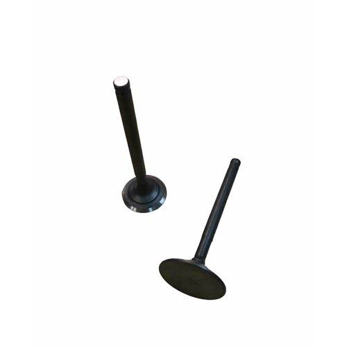 Клапаны на мотоцикл 160FMK 160см3 (YХ-160) d=23/28 (l=72/73)