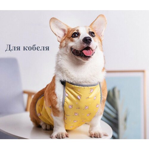 Попона для собак Onyx Pet, грязезащитная с водоотталкивающим эффектом, для корги кобель, размер M