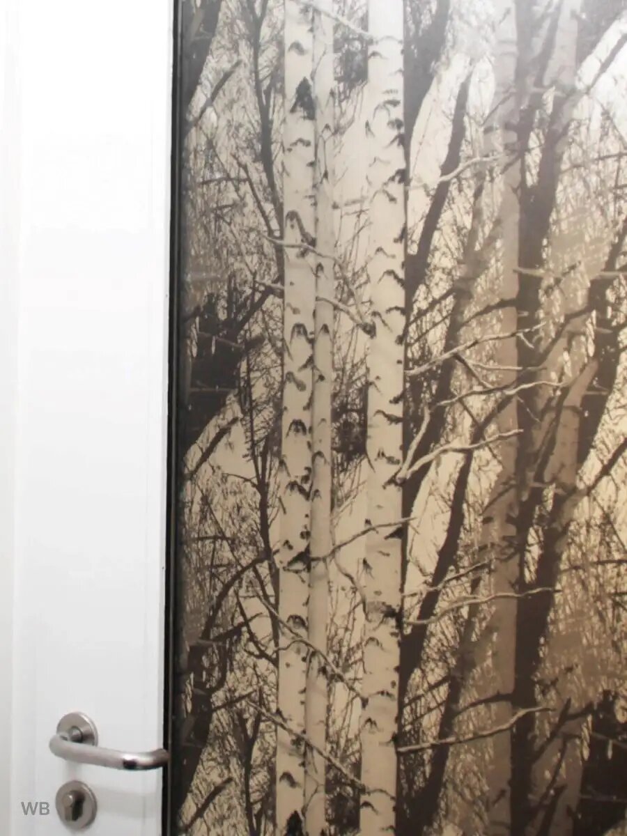 Пленка статическая на окно 45см х 1.5м