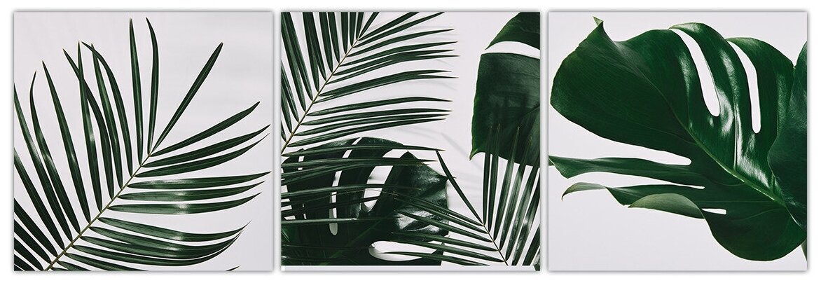 Картина модульная / Картина на стену / картина интерьерная "Пальмовые листья", 25х75см - Крепления в подарок