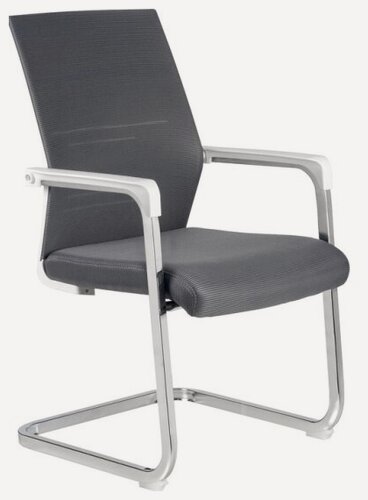 Изображение товара Кресло офисное Riva Chair RCH D819 Белый пластик/Серая сетка (на полозьях)