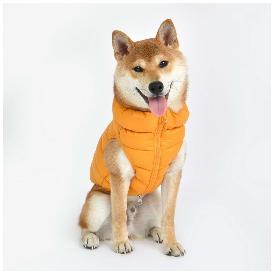PUPPIA Жилет для собак, сверхлегкий "Vest A", серый, XL (Южная Корея) - фото №3
