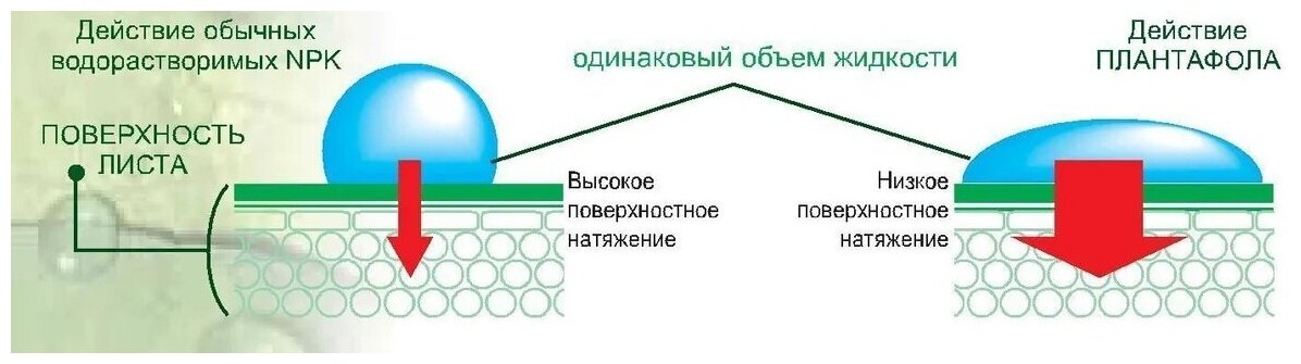 Удобрение Valagro Плантафол Valagro, Италия 5:15:45 (250гр ) - фотография № 6