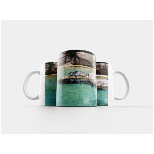 фото Кружка "тюлень, вода, природа" 320 мл lotsprints