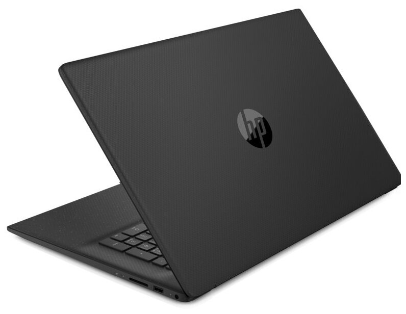 Ноутбук HP 17-cp0091ur 173 AMD Athlon Silver 3050U 23ГГц 4ГБ 256ГБ SSD AMD Radeon Free DOS 30 4D4B5EA черный