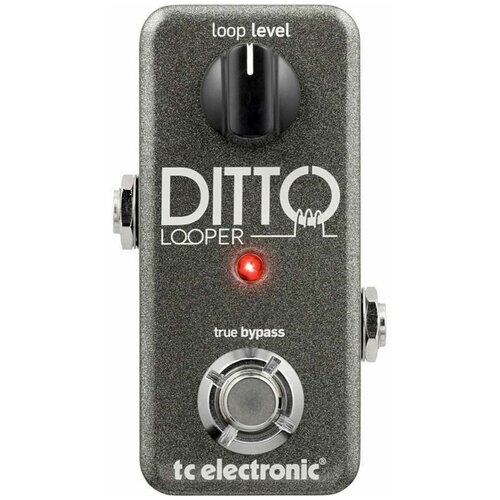 Гитарный эффект TC ELECTRONIC DITTO LOOPER rowin ltl 02 twin looper pedal upgrades looper pedals for electric guitar 10 min looping unlimited undo redo function 11 types