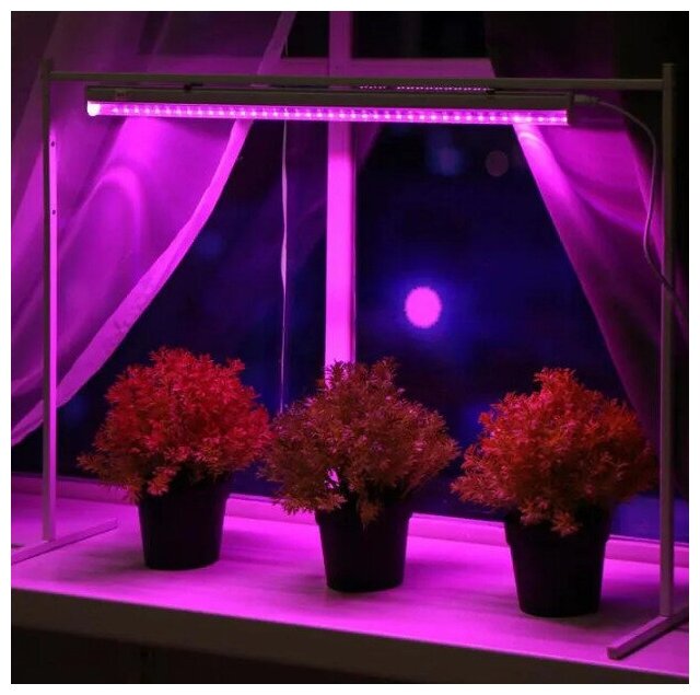 Фитолампа для растений светодиодная LITARK 10W 57см / фитосветильник для рассады / лампа для растений / ультрафиолетовая / линейная - фотография № 2