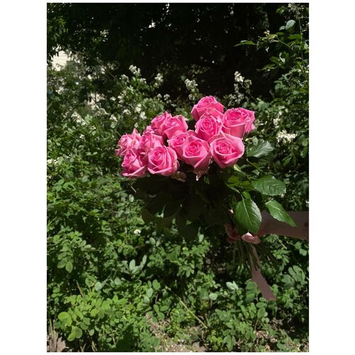 Букет из 15 розовых Роз Ревиваль 60см